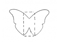 Butterfly - 1611